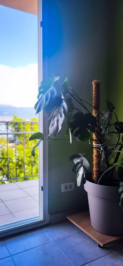 Jungle Jam Apartment Trogir