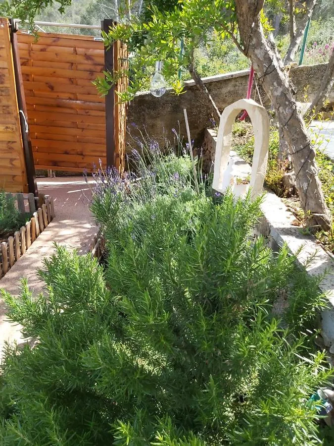 Jungle Jam Apartment Trogir 0*,